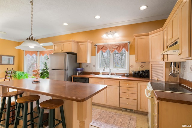 4996 Andrew Rd, Marion, IL 62959 - kitchen featuring freestanding refrigerator, electric range, light brown cabinets, under cabinet range hood, and crown molding