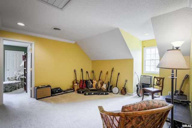 4996 Andrew Rd, Marion, IL 62959 - bonus room featuring carpet, a textured ceiling, recessed lighting, and vaulted ceiling
