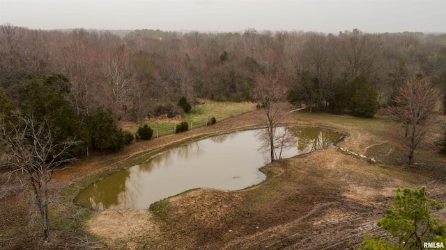 4996 Andrew Rd, Marion, IL 62959 - water view with a heavily wooded area