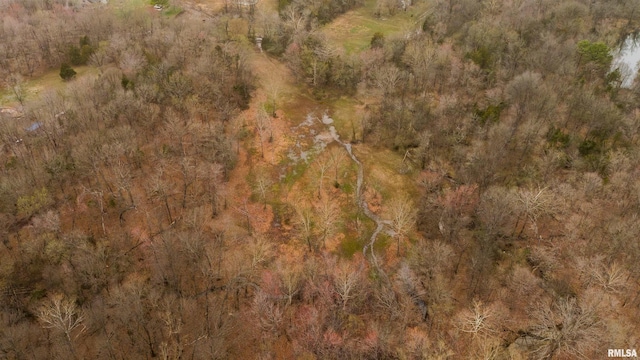4996 Andrew Rd, Marion, IL 62959 - view of property location