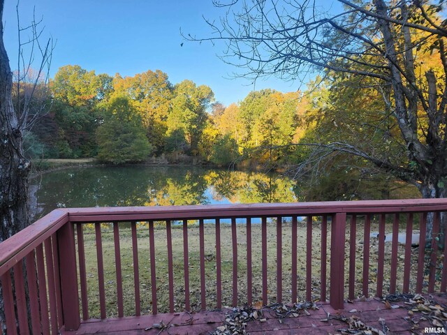 1110 Sally Holler Rd, Harrisburg, IL 62946 - photo 24