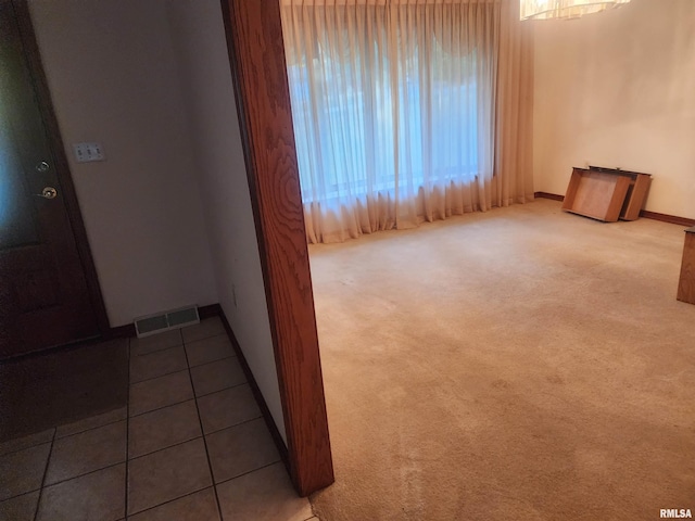 1110 Sally Holler Rd, Harrisburg, IL 62946 - photo 25