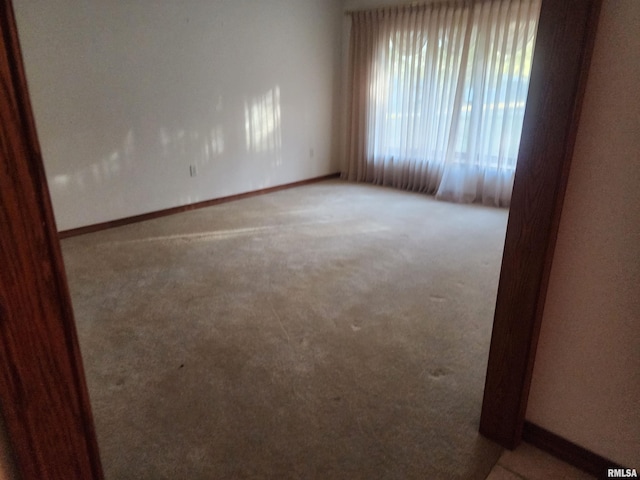 1110 Sally Holler Rd, Harrisburg, IL 62946 - photo 26