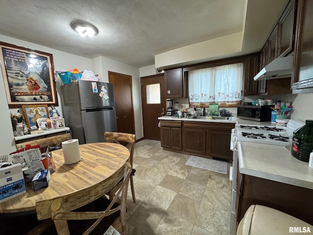 kitchen featuring a sink, light countertops, dark brown cabinetry, under cabinet range hood, and stainless steel appliances