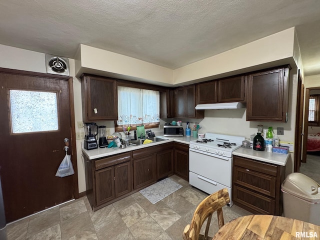 kitchen with white gas stove, light countertops, a healthy amount of sunlight, and under cabinet range hood