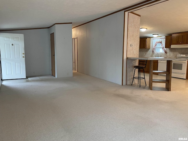 100 Little John Loop, Tunnel Hill, IL 62972 - living area featuring a textured ceiling, light carpet, and a decorative wall