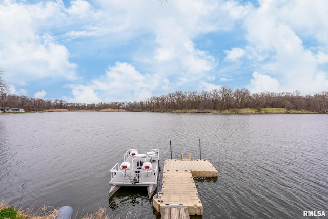 dock with a water view