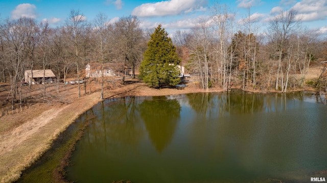 12855 Cleveland Ln, Pittsburg, IL 62974 - property view of water