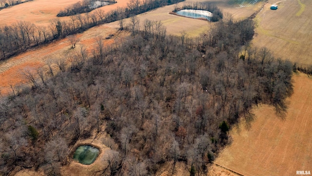 12855 Cleveland Ln, Pittsburg, IL 62974 - drone / aerial view