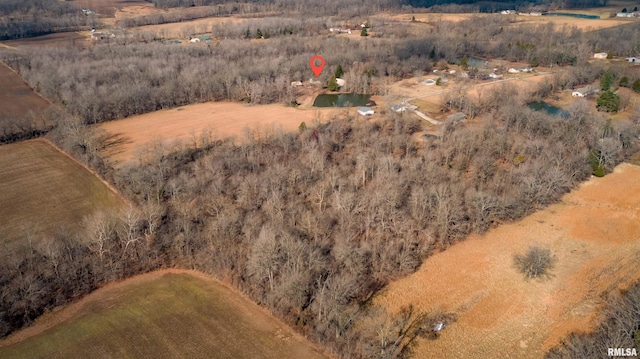 12855 Cleveland Ln, Pittsburg, IL 62974 - drone / aerial view