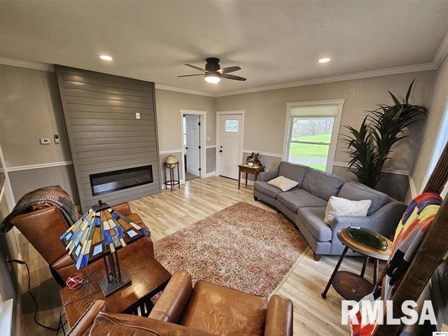 306 Walker St, Ursa, IL 62376 - living room featuring crown molding, light wood-type flooring, a fireplace, and a ceiling fan