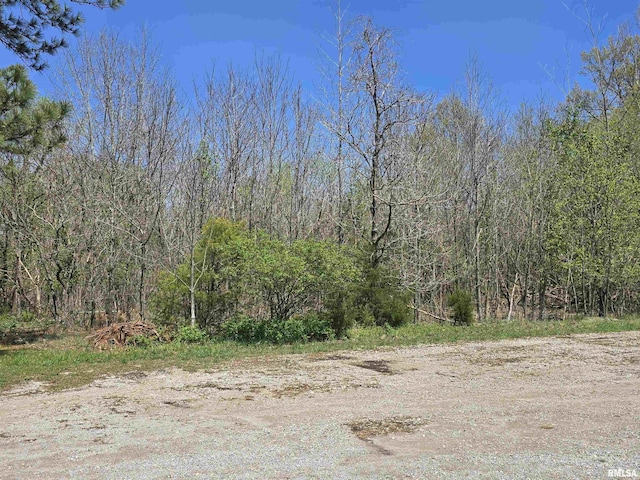 TBD Jackson St, Carterville, IL 62918 - photo 2