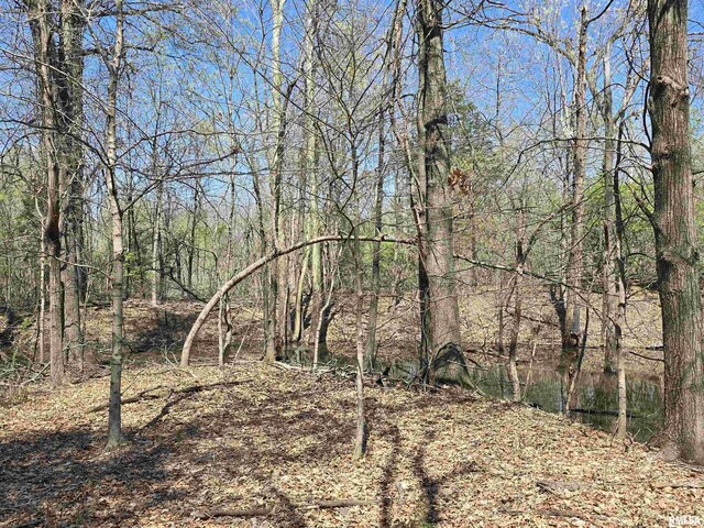 TBD Jackson St, Carterville, IL 62918 - photo 3