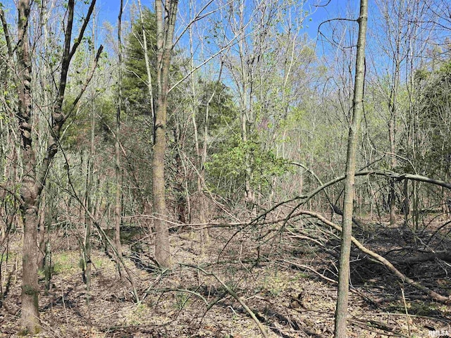 TBD Jackson St, Carterville, IL 62918 - photo 4