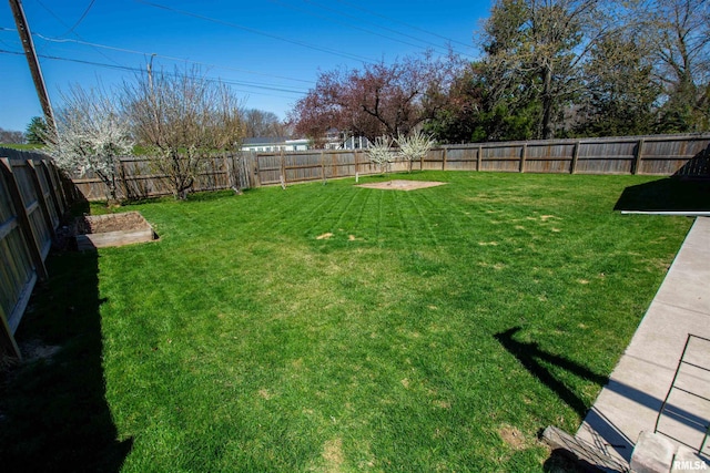 view of yard featuring a fenced backyard