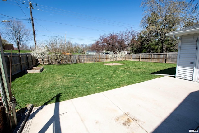 view of yard featuring a patio area and a fenced backyard