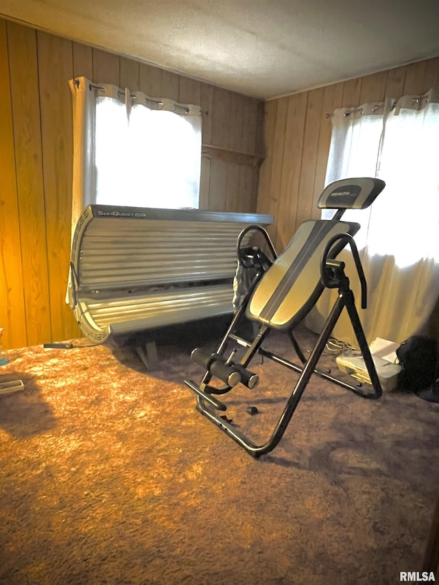 225 Arrowhead Dr, Goreville, IL 62939 - miscellaneous room with wooden walls and a textured ceiling