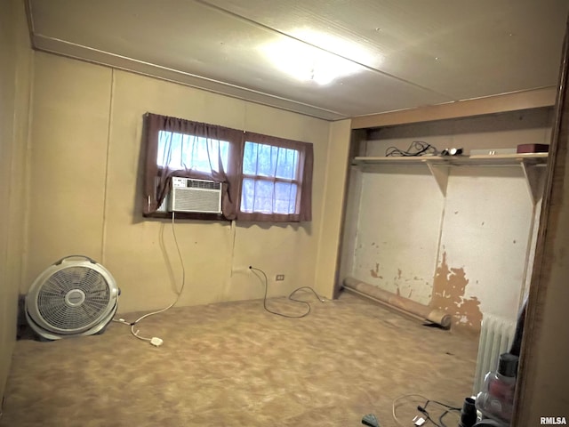 225 Arrowhead Dr, Goreville, IL 62939 - interior space with carpet flooring, radiator heating unit, cooling unit, and a closet