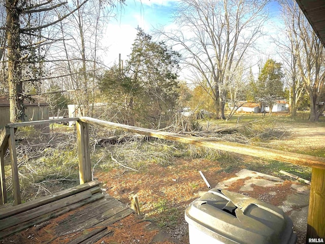 225 Arrowhead Dr, Goreville, IL 62939 - view of yard