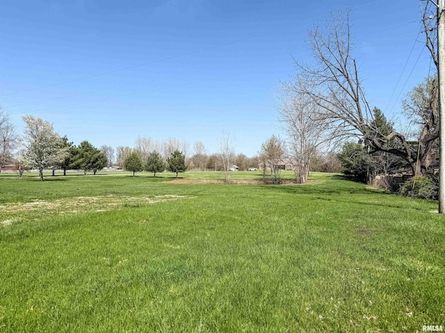 view of yard