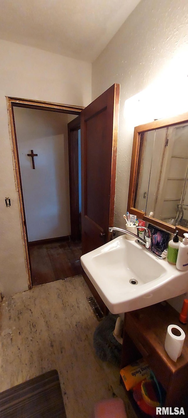 18304 W 206th St, Buffalo Prairie, IL 61237 - bathroom featuring wood finished floors and a sink