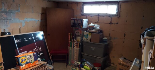 18304 W 206th St, Buffalo Prairie, IL 61237 - interior space featuring concrete block wall