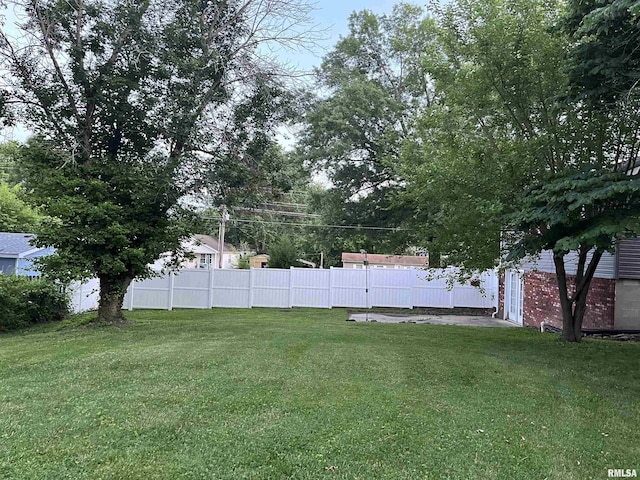 505 W College St, Energy, IL 62933 - view of yard featuring fence
