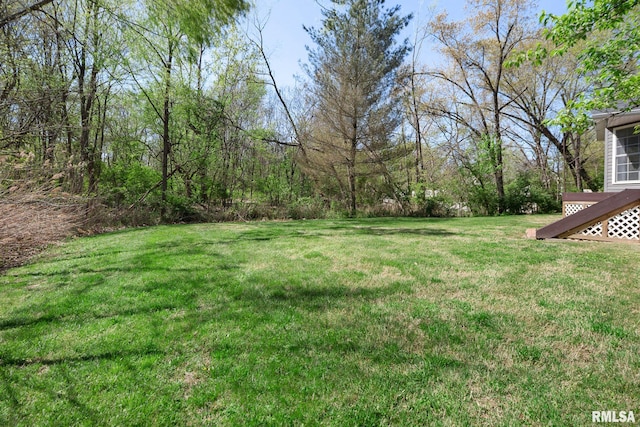 409 Arbor Dr, Carterville, IL 62918 - view of yard