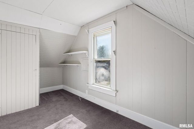 2129 Washington St, Davenport, IA 52804 - bonus room featuring lofted ceiling, baseboards, and dark carpet