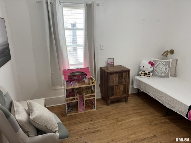 bedroom featuring wood-type flooring