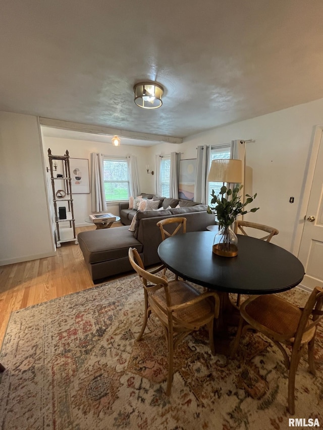 living room with wood finished floors