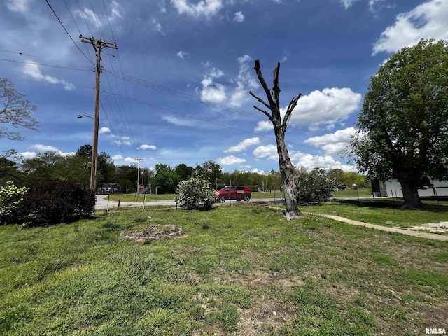57 W 3rd St, New Burnside, IL 62967 - view of yard