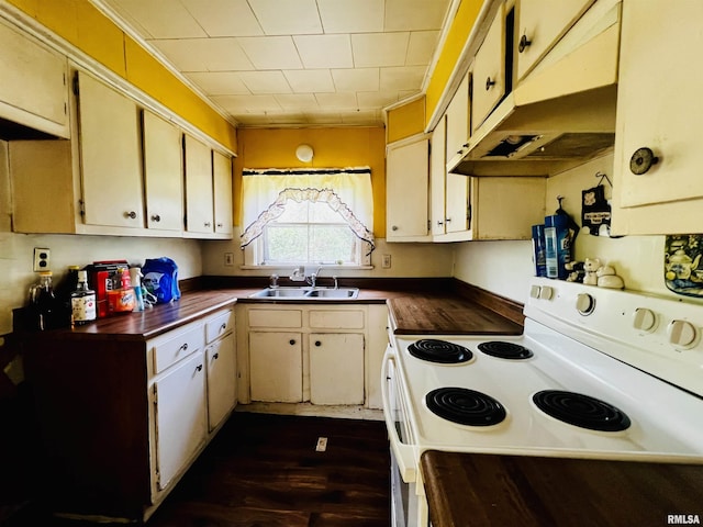 57 W 3rd St, New Burnside, IL 62967 - kitchen with white electric stove, under cabinet range hood, dark countertops, a sink, and dark wood-type flooring