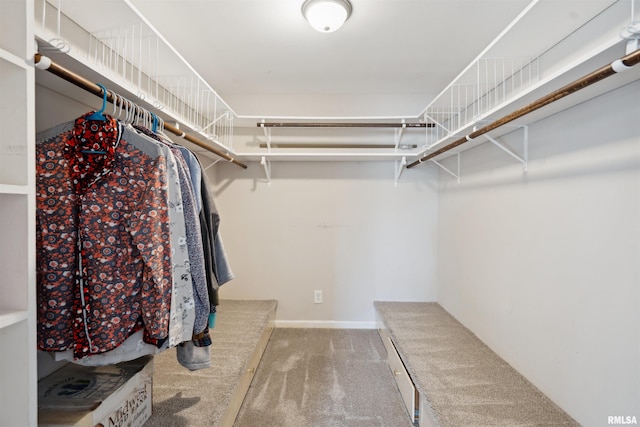 walk in closet featuring carpet floors