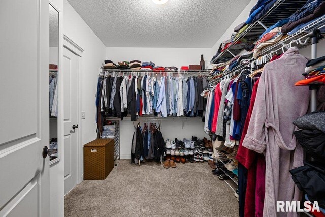 spacious closet with carpet floors