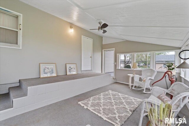 608 S Oakwood Ave, Geneseo, IL 61254 - sunroom with lofted ceiling