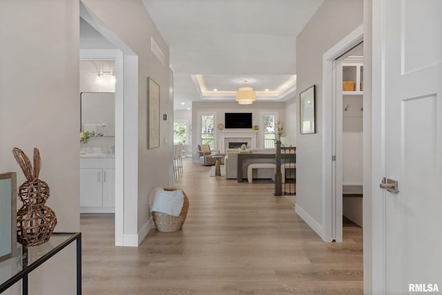 4048 Meadowlark Ct, Bettendorf, IA 52722 - hallway featuring baseboards, a raised ceiling, and light wood-type flooring