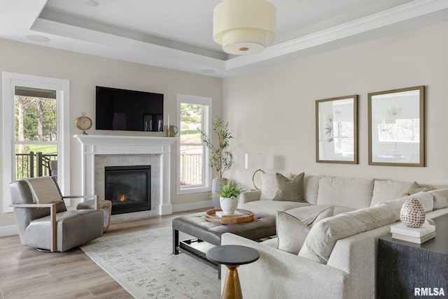 4048 Meadowlark Ct, Bettendorf, IA 52722 - living area with a raised ceiling, a wealth of natural light, and light wood-style floors