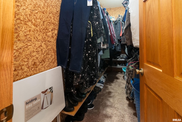 walk in closet featuring carpet flooring