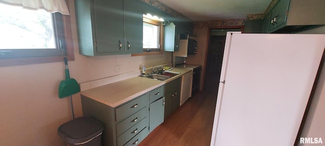 kitchen with a sink, plenty of natural light, light countertops, and freestanding refrigerator