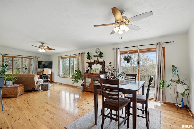 dining area featuring light wood-type flooring, a ceiling fan, and plenty of natural light