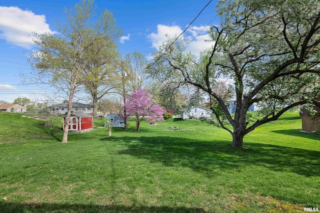view of yard with an outdoor structure and a storage shed