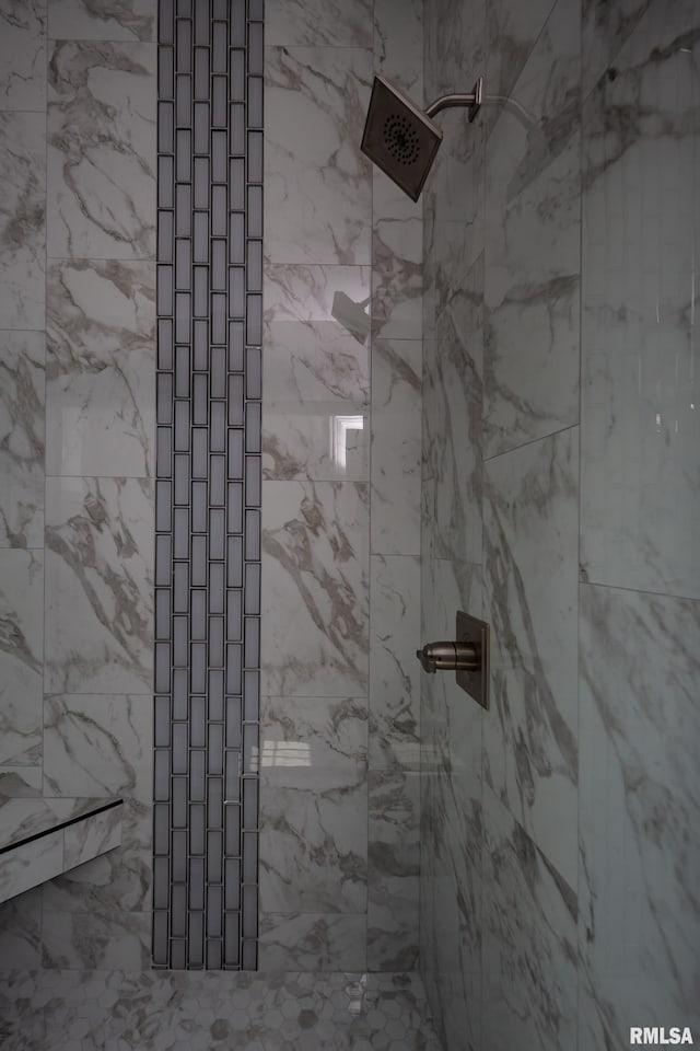 5120 Pandit Dr, Bettendorf, IA 52722 - full bathroom with a tile shower