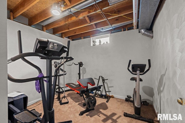exercise area featuring carpet floors