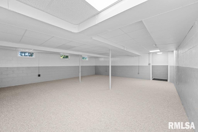 basement with a paneled ceiling and carpet flooring