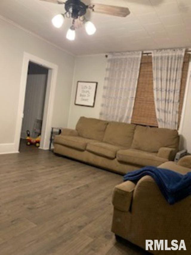 501 E Broad St, Jonesboro, IL 62952 - living room with crown molding, baseboards, a ceiling fan, and wood finished floors