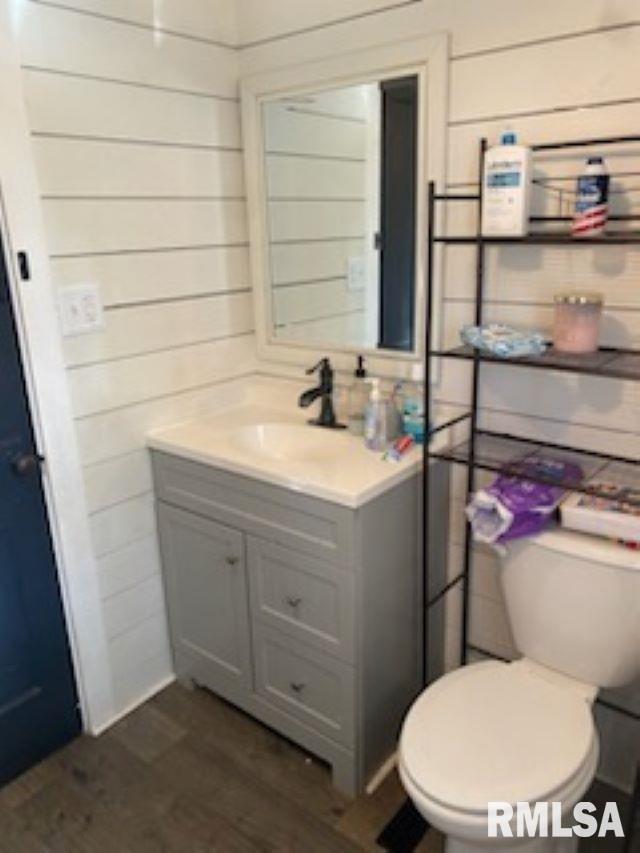 501 E Broad St, Jonesboro, IL 62952 - bathroom with toilet, wood finished floors, and vanity