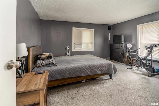 510 W Idaho Ave, Carterville, IL 62918 - carpeted bedroom with a textured ceiling