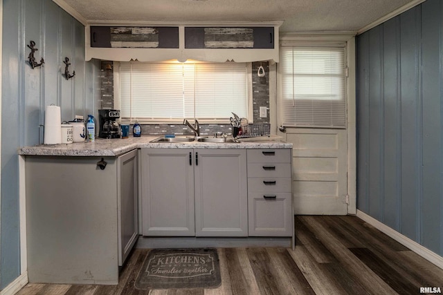 510 W Idaho Ave, Carterville, IL 62918 - kitchen with a sink, dark wood-style flooring, crown molding, and baseboards