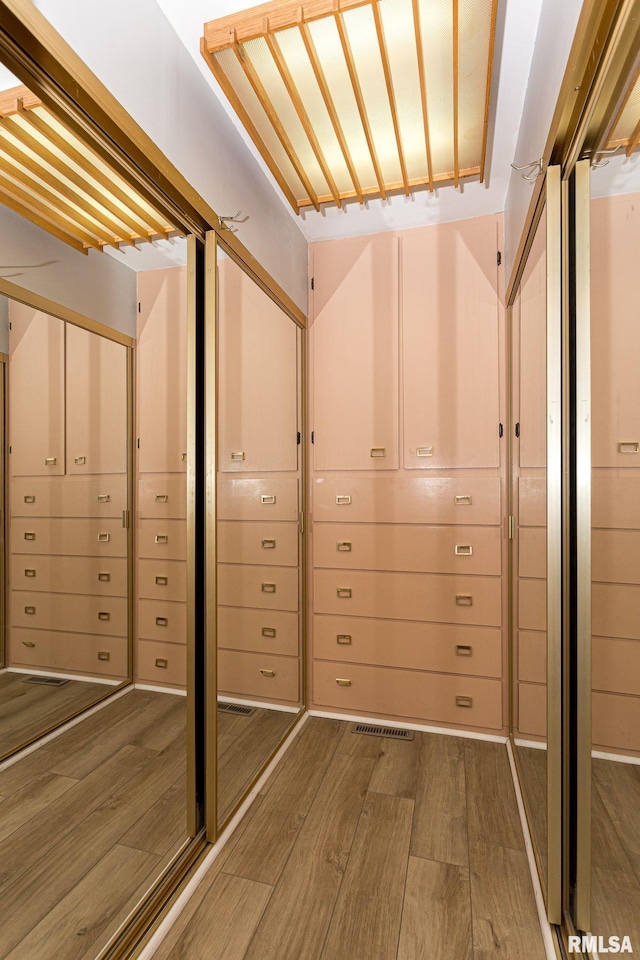 28018 230th St, Le Claire, IA 52753 - spacious closet with light wood-style floors and mail area